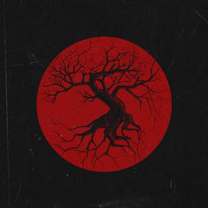 xvdiows软件免费下载
