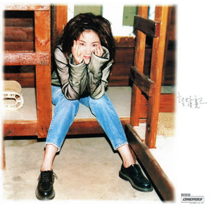 xvdiows软件免费下载
